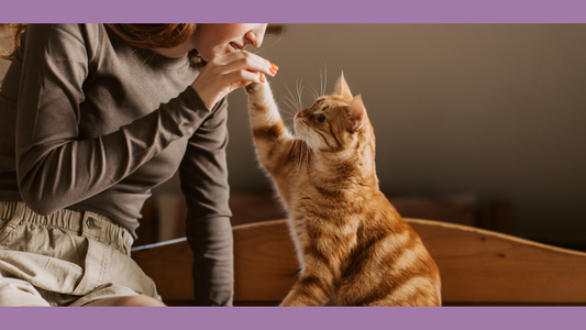 17 Life-Changing Health Lessons I Learned from My Cats