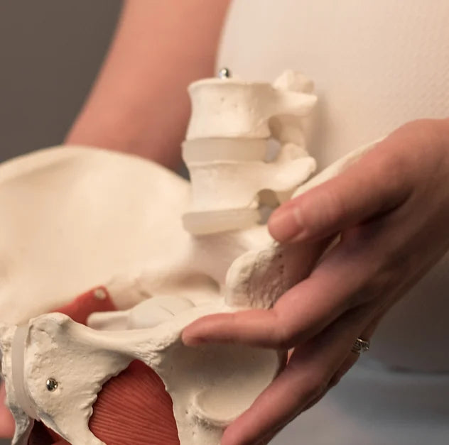 Pelvic Health Intro Course